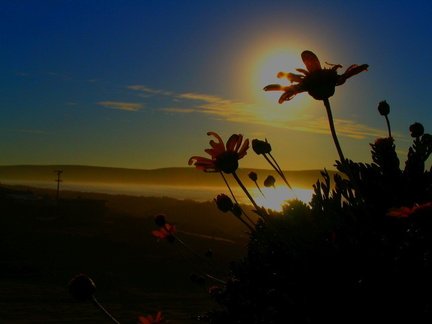 California Beach Sunset #2 Solarized