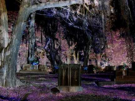 Voodoo Cemetery